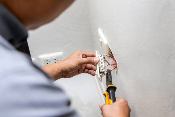 Best Electric Panel Repair  in Kingston, TN
